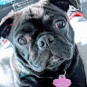 Meet your Posher, Hope